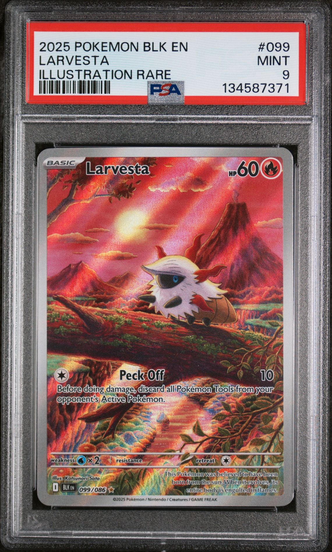 2025 Pokemon POKEMON BLK EN-BLACK BOLT ILLUSTRATION RARE #099 Larvesta front