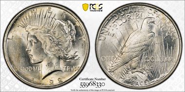 1922-D $1 VAM 3, Doubled Leaves MS63