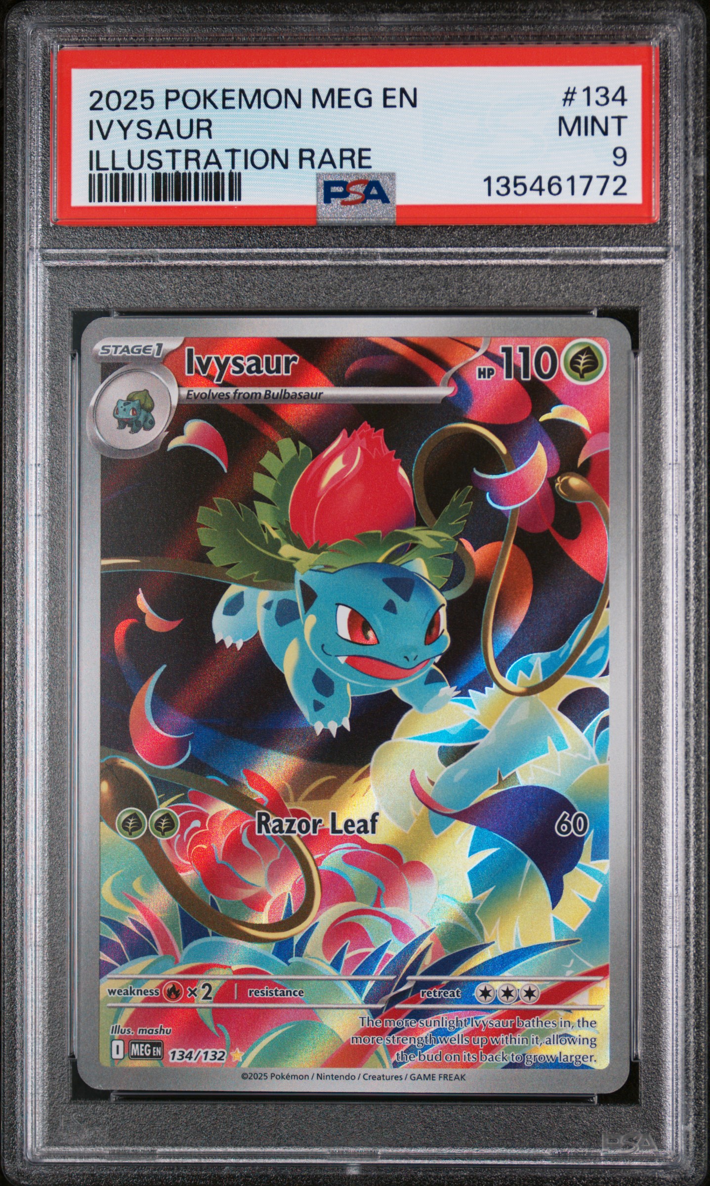 2025 #134 Ivysaur PSA 9 Meg EN-Mega Evolution