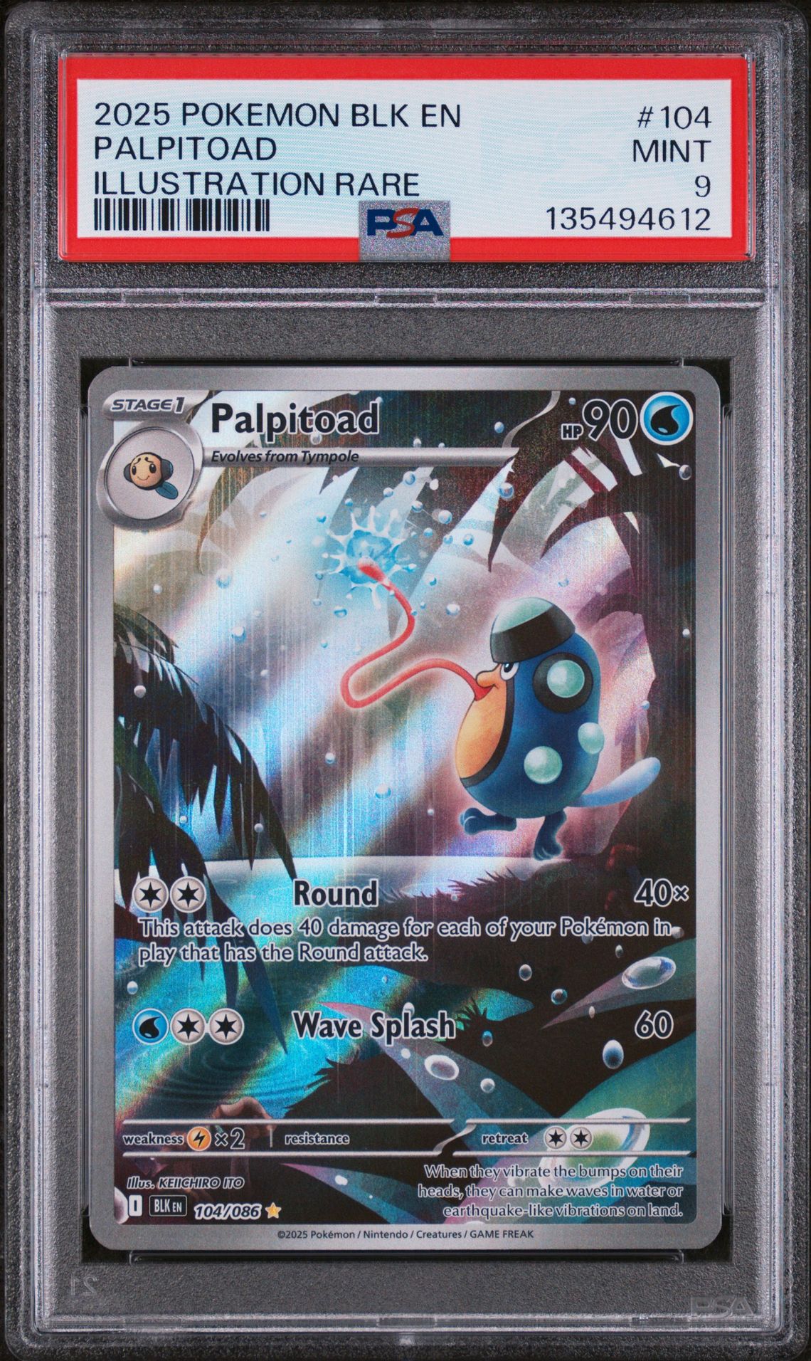 2025 Pokemon POKEMON BLK EN-BLACK BOLT ILLUSTRATION RARE #104 Palpitoad front