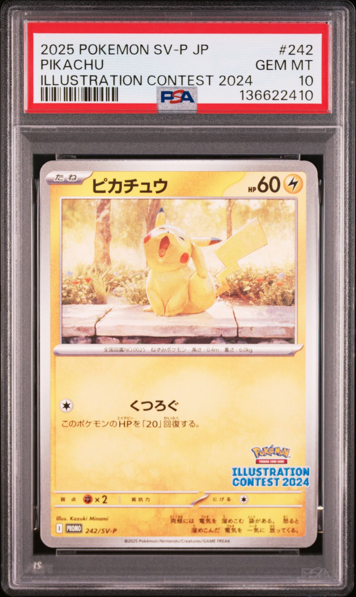 2025 Pokemon POKEMON JAPANESE SV-P PROMO ILLUSTRATION CONTEST 2024 #242 Pikachu front