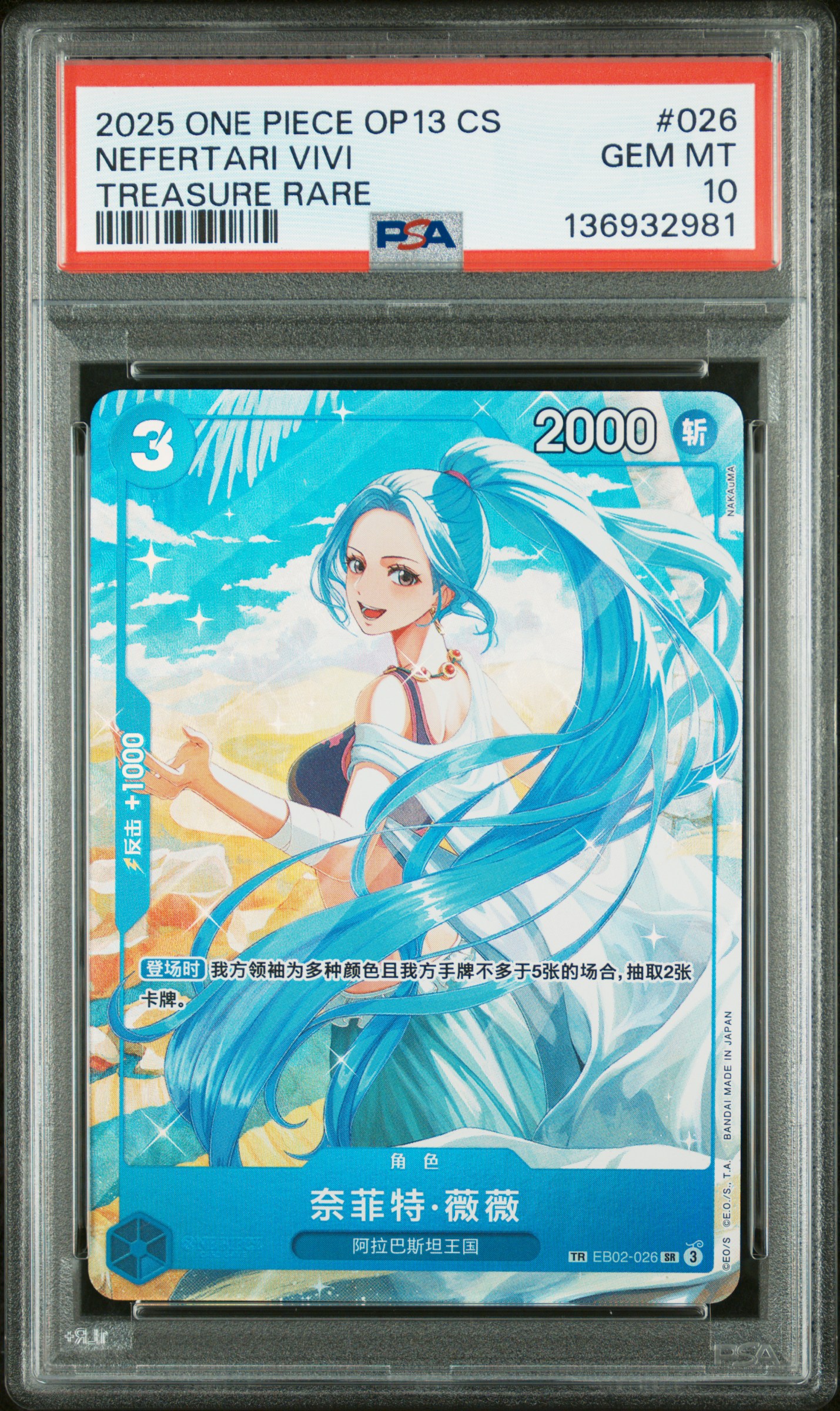 mcsnipeoptcg's 2025 One Piece Simplified Chinese Op13-Carrying on