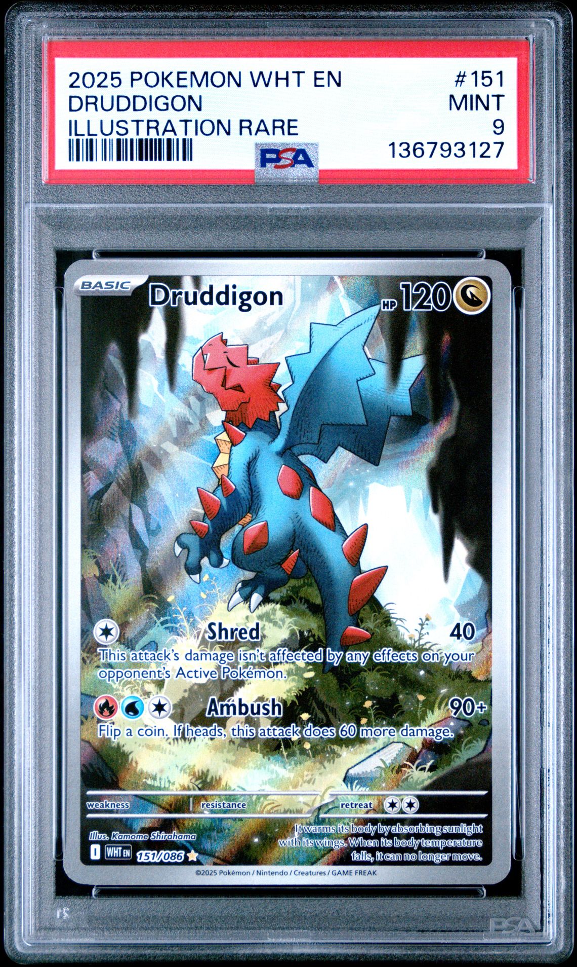 2025 Pokemon POKEMON WHT EN-WHITE FLARE ILLUSTRATION RARE #151 Druddigon front