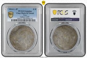 1816-L JP 8 R Calico-1249 N1