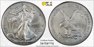 2025-W $1 Burnished Silver Eagle First Strike SP69