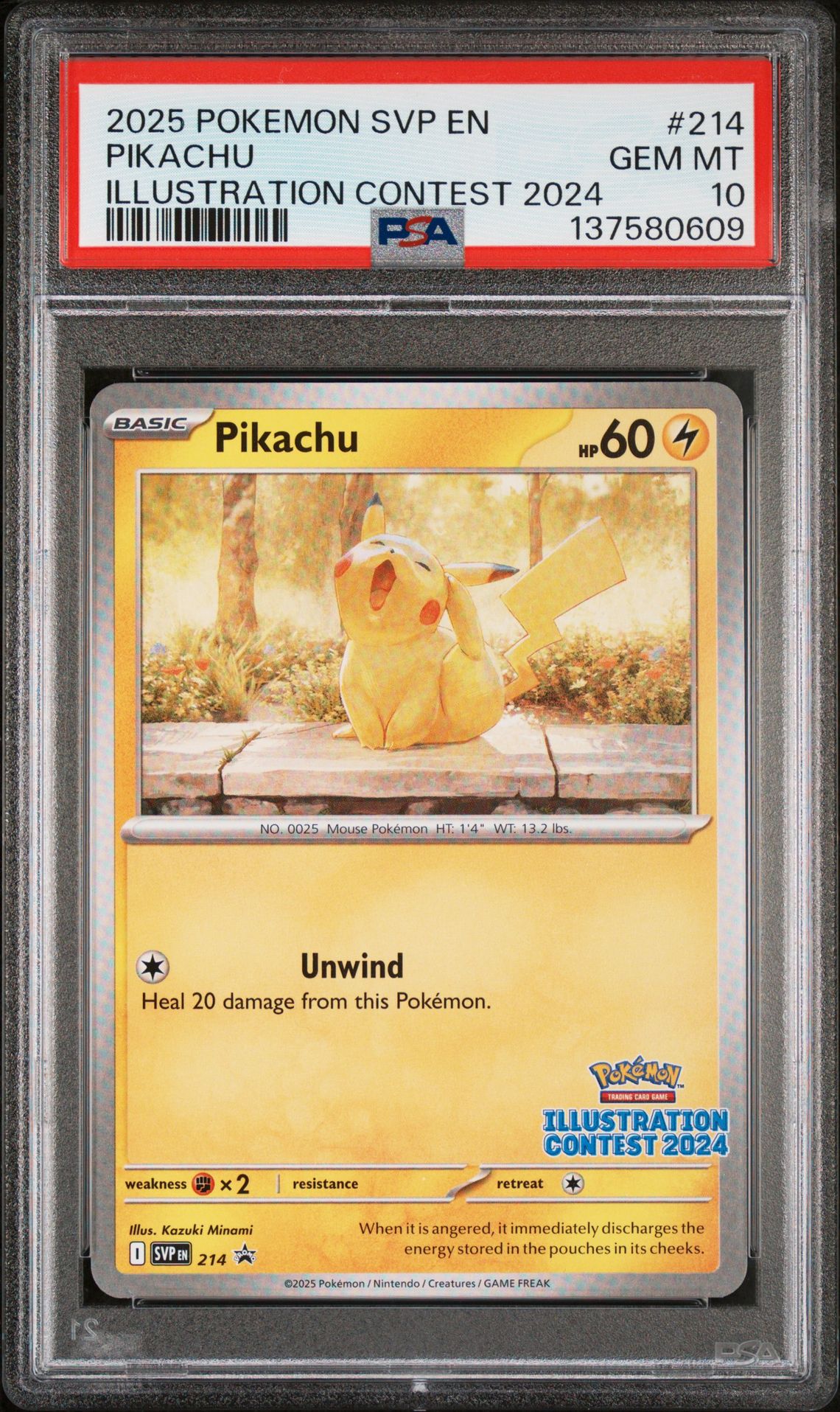 2025 Pokemon POKEMON SVP EN-SV BLACK STAR PROMO ILLUSTRATION CONTEST 2024 #214 Pikachu front