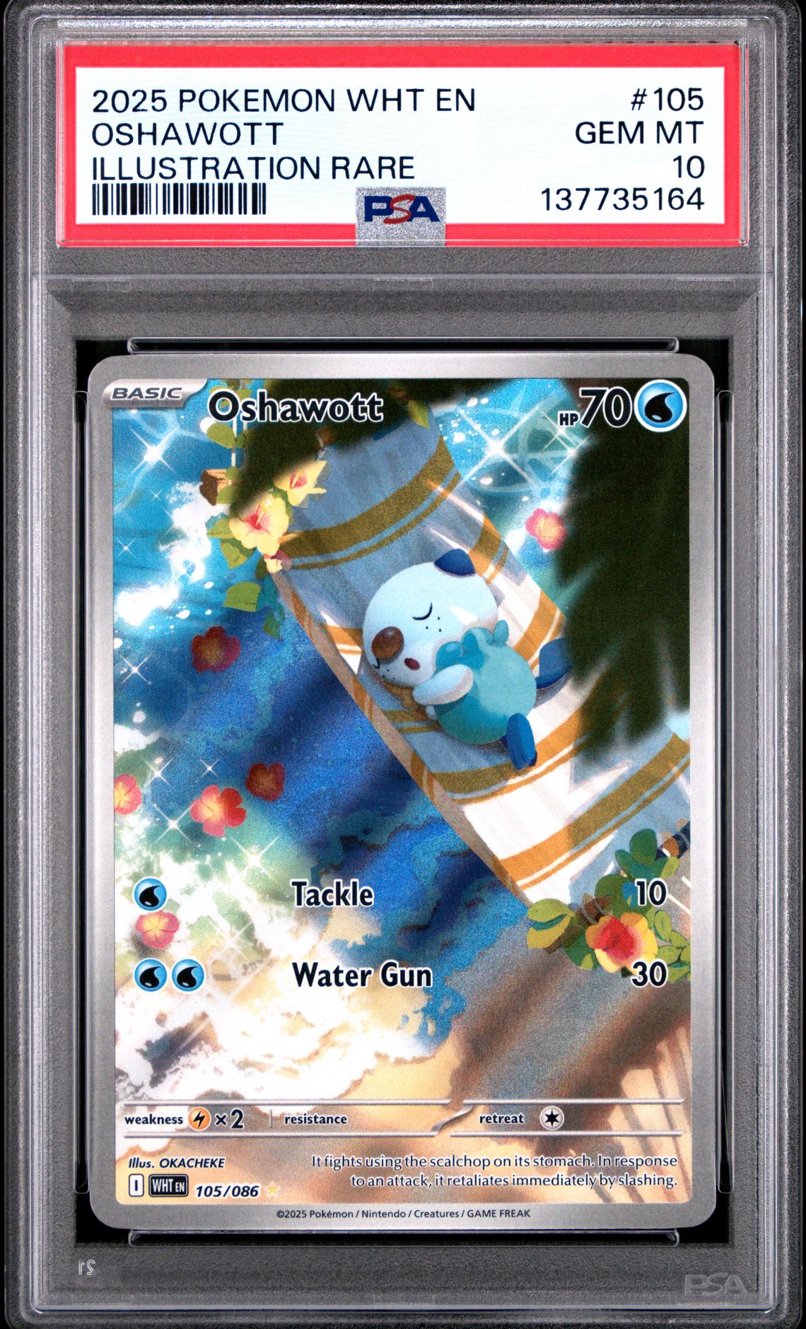 2025 Pokemon Wht En-White Flare Oshawott #105 (Illustration Rare) Gem Mt 10 front