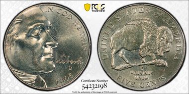 2005-D 5C Speared Bison MS65