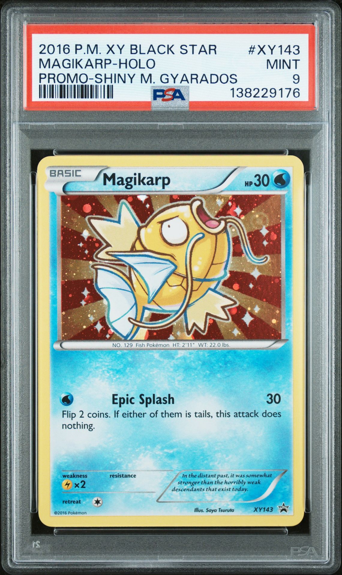 2016 Pokemon POKEMON XY BLACK STAR PROMO #XY143 Magikarp-Holo front