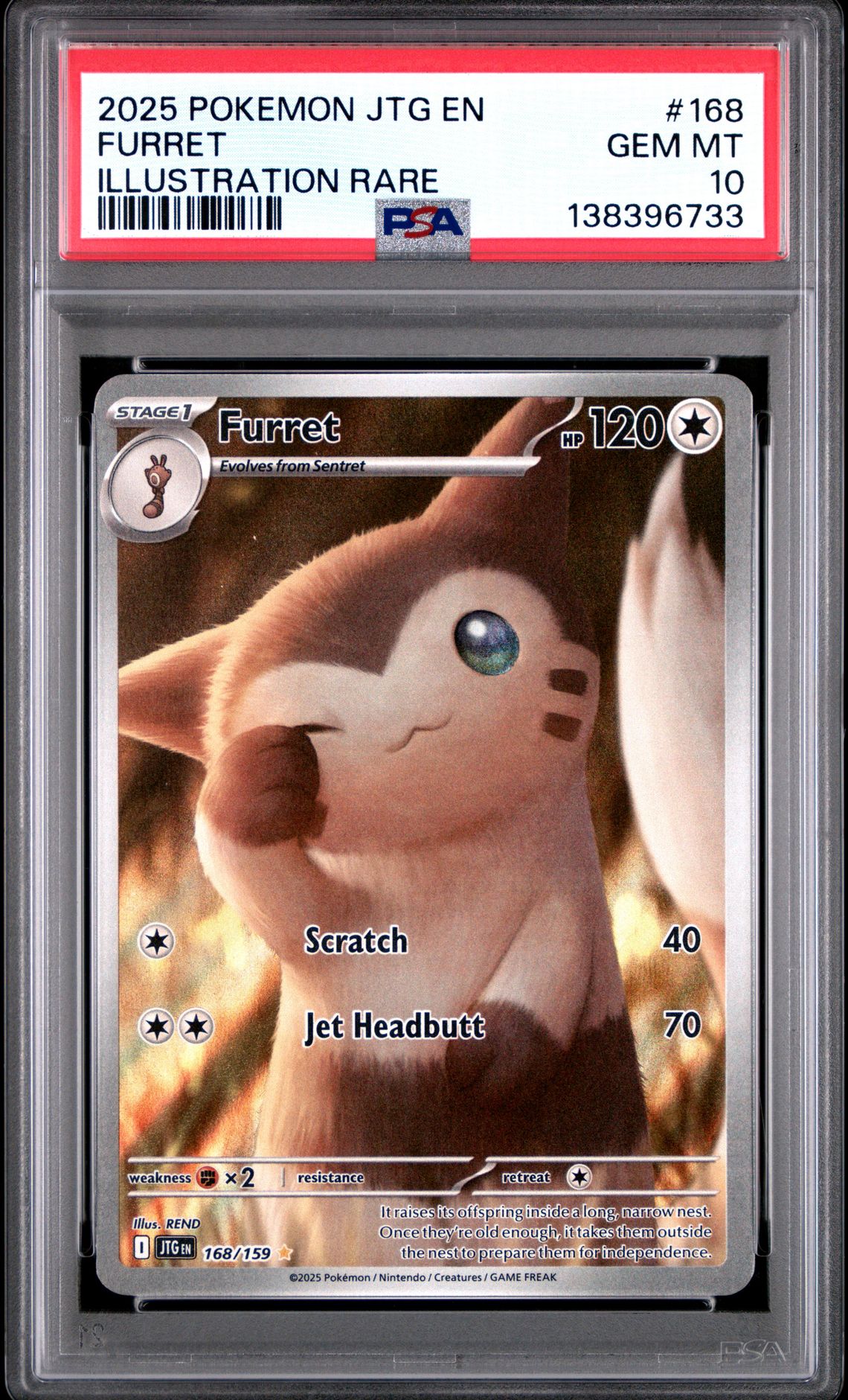 2025 Pokemon Jtg En-Journey Together Furret #168 (Illustration Rare) Gem Mt 10 front