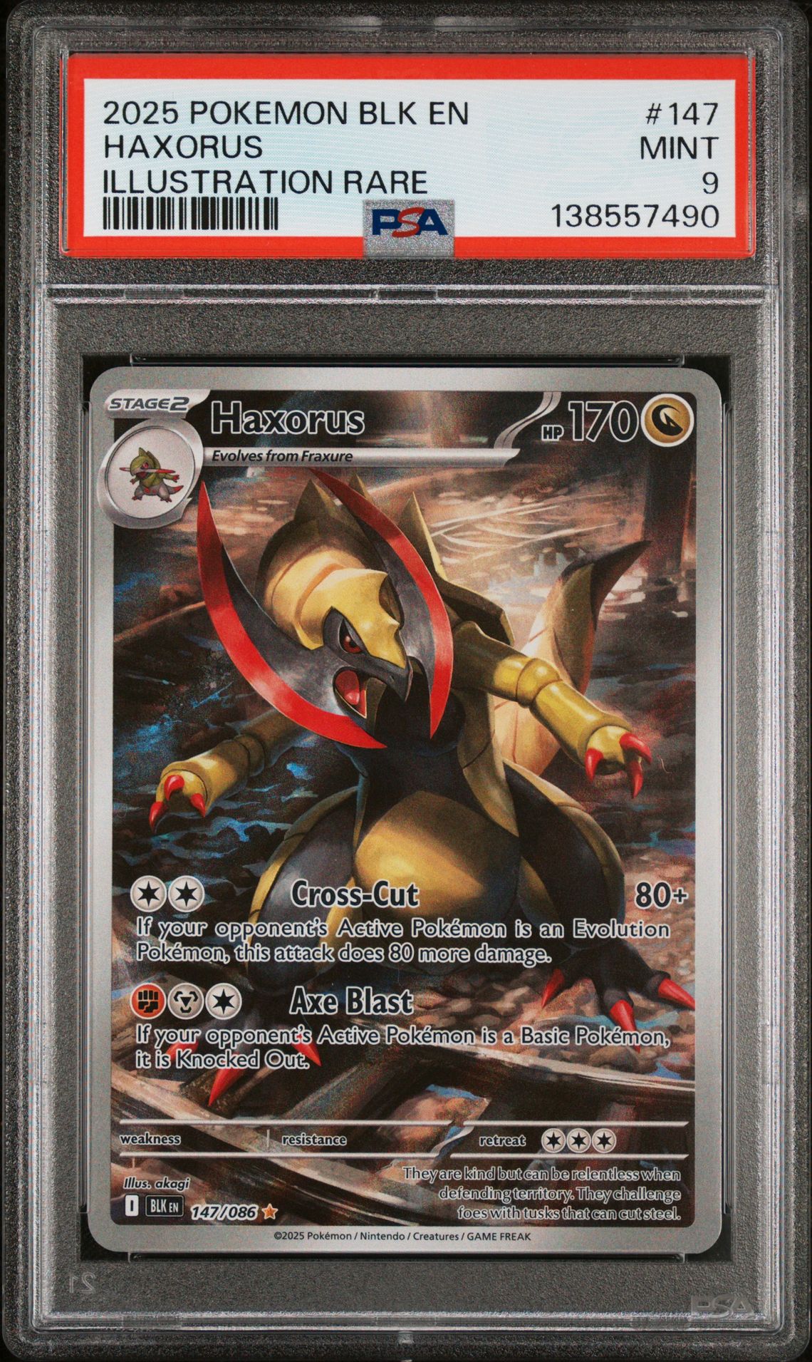 2025 Pokemon Blk En-Black Bolt Haxorus #147 (Illustration Rare) Mint 9 front