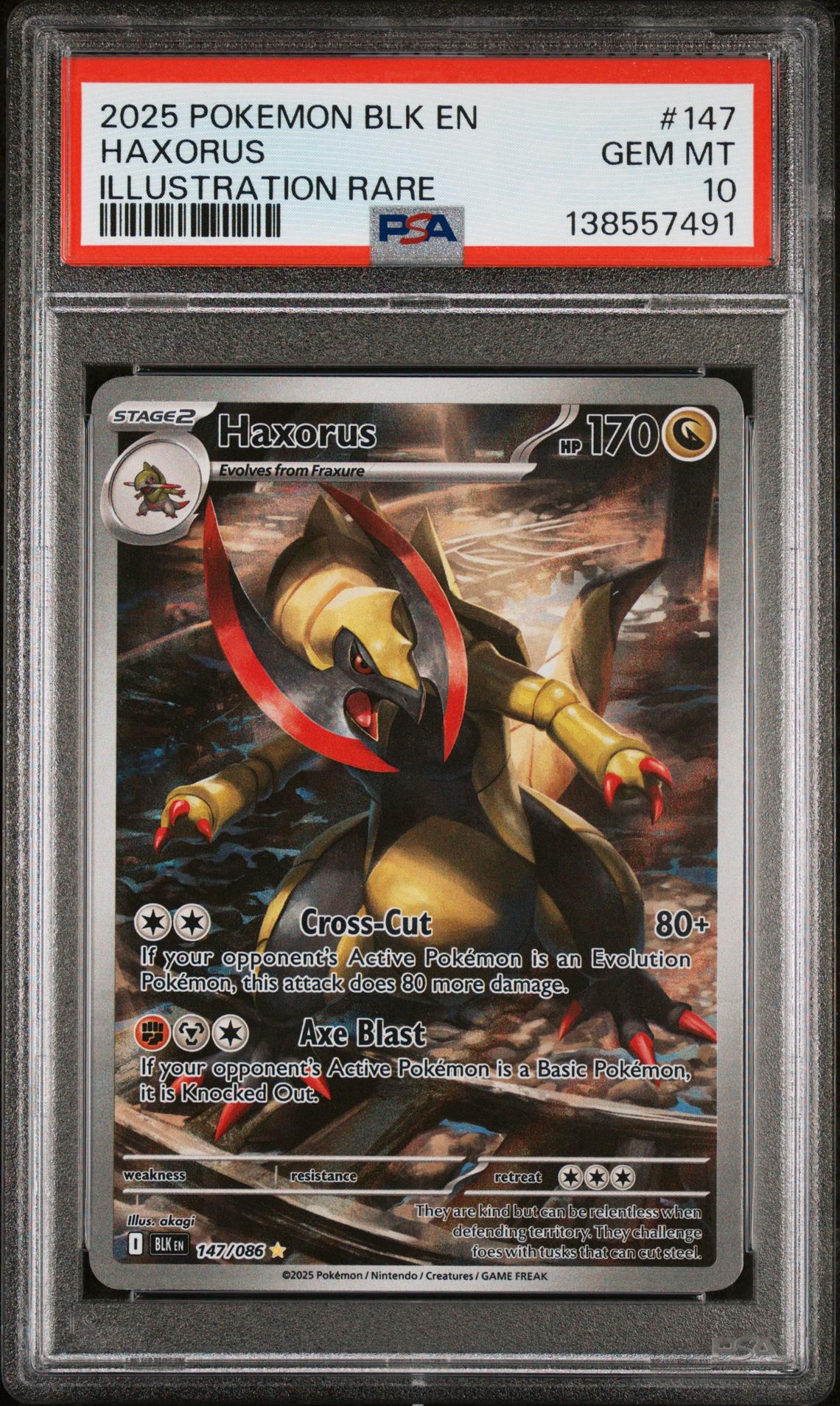 2025 Pokemon Blk En-Black Bolt Haxorus #147 (Illustration Rare) Gem Mt 10 front