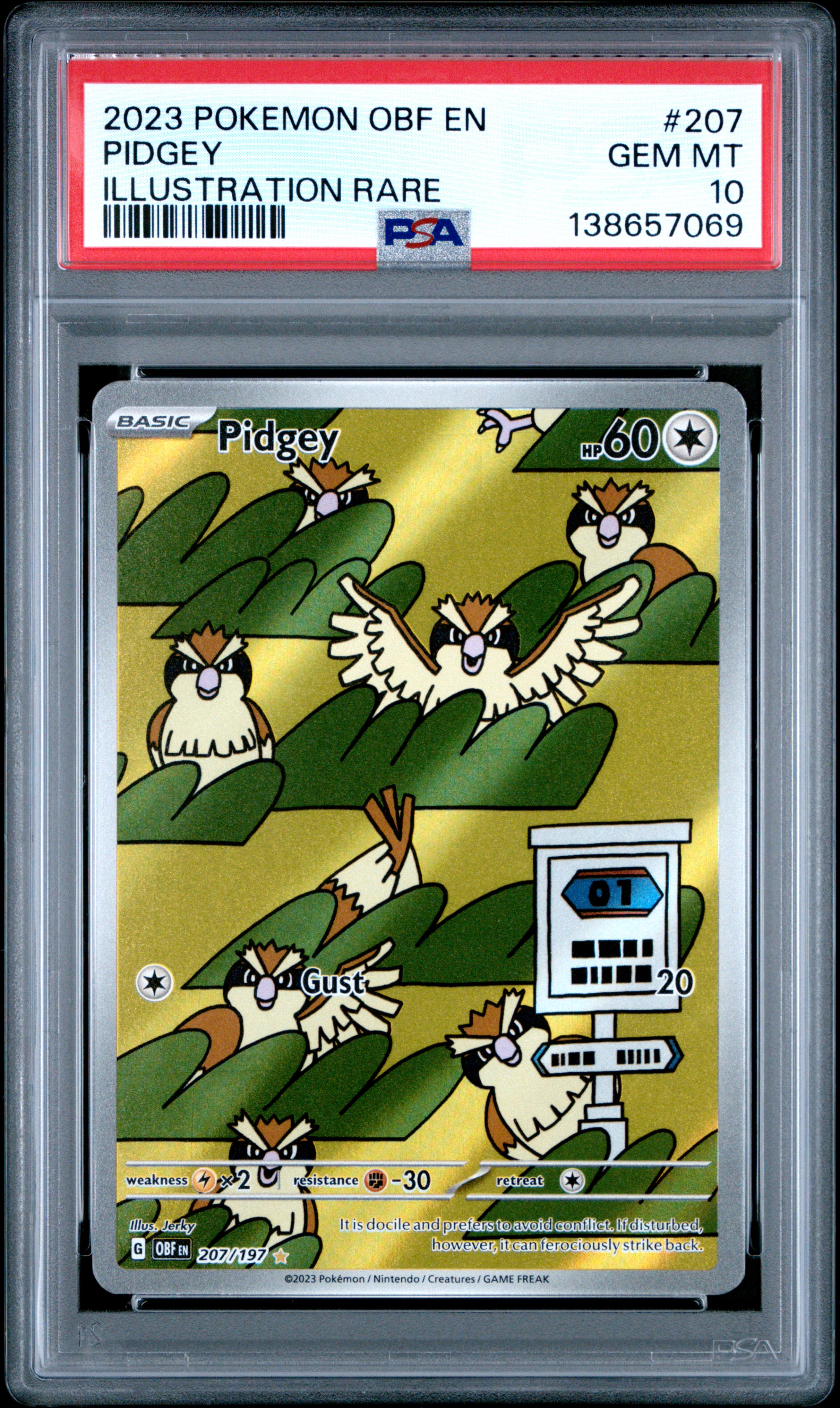 Pidgey #207
