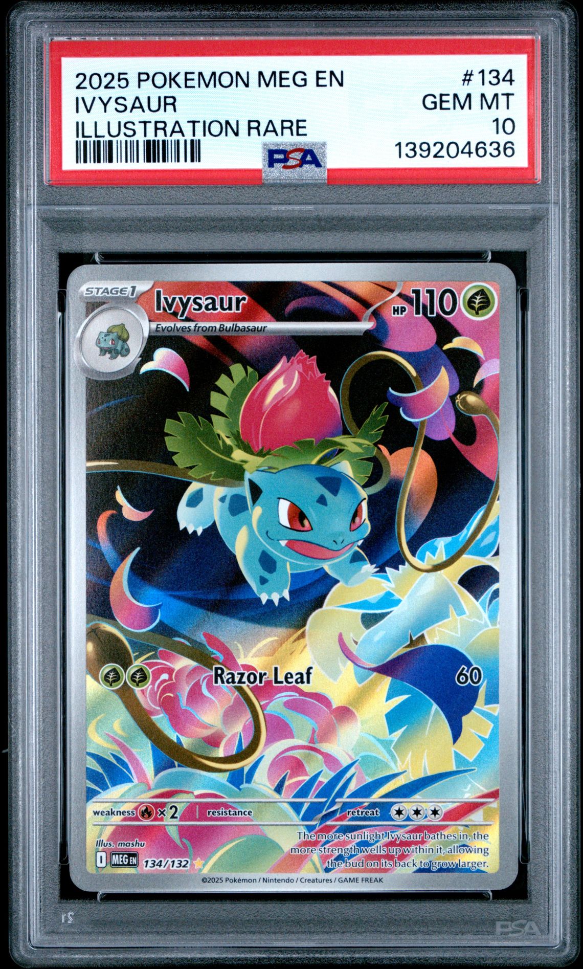 2025 Pokemon Meg En-Mega Evolution Ivysaur #134 (Illustration Rare) Gem Mt 10 front
