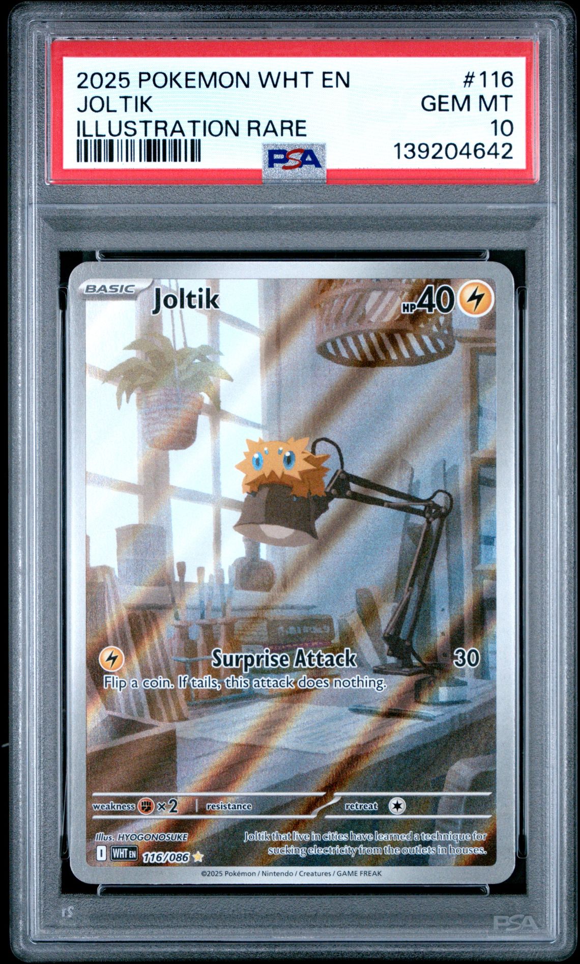 2025 Pokemon Wht En-White Flare Joltik #116 (Illustration Rare) Gem Mt 10 front
