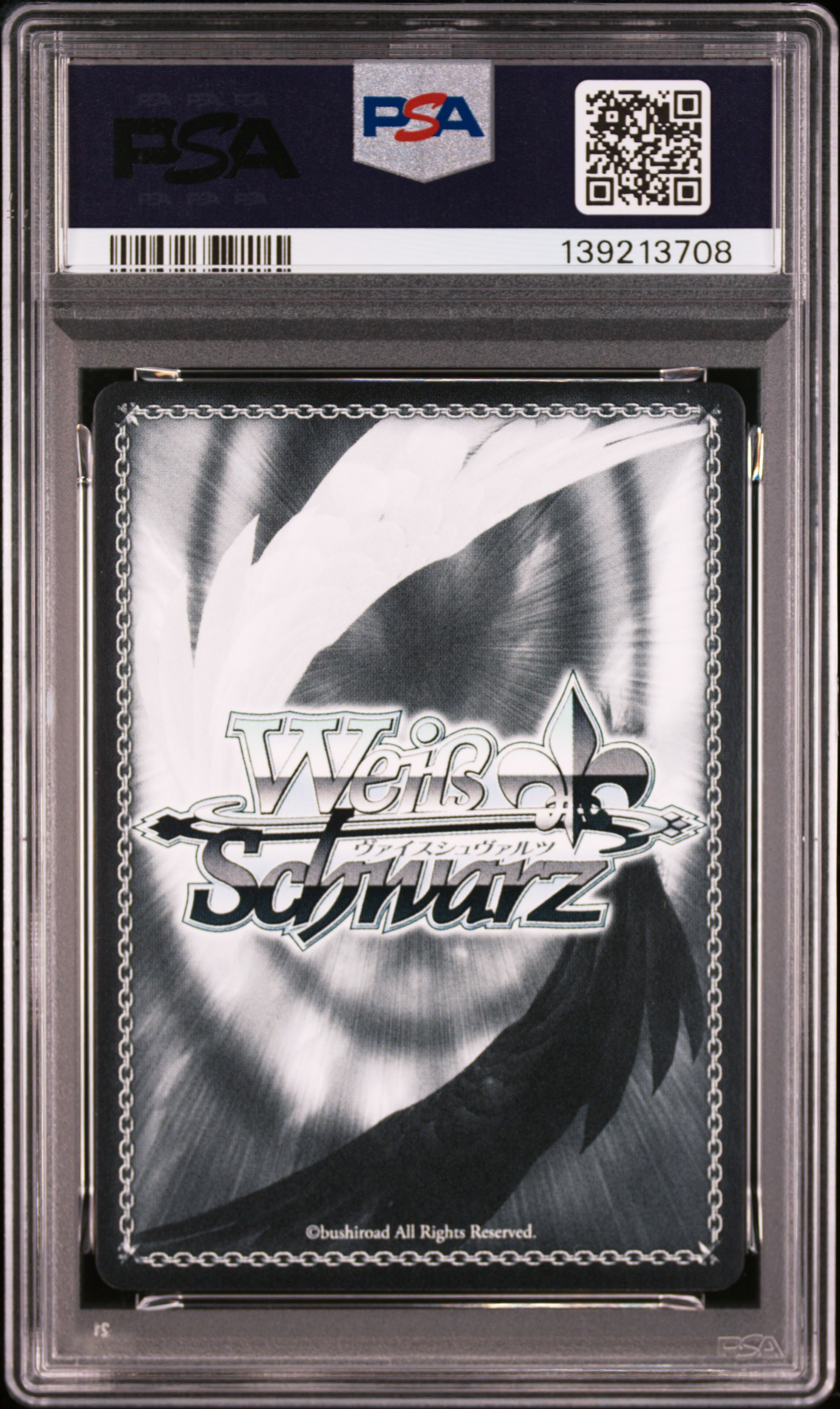 #007 SKICH.KWI.WTSH, KOTONE (GIM/W124-SP SIGNATURE) — back