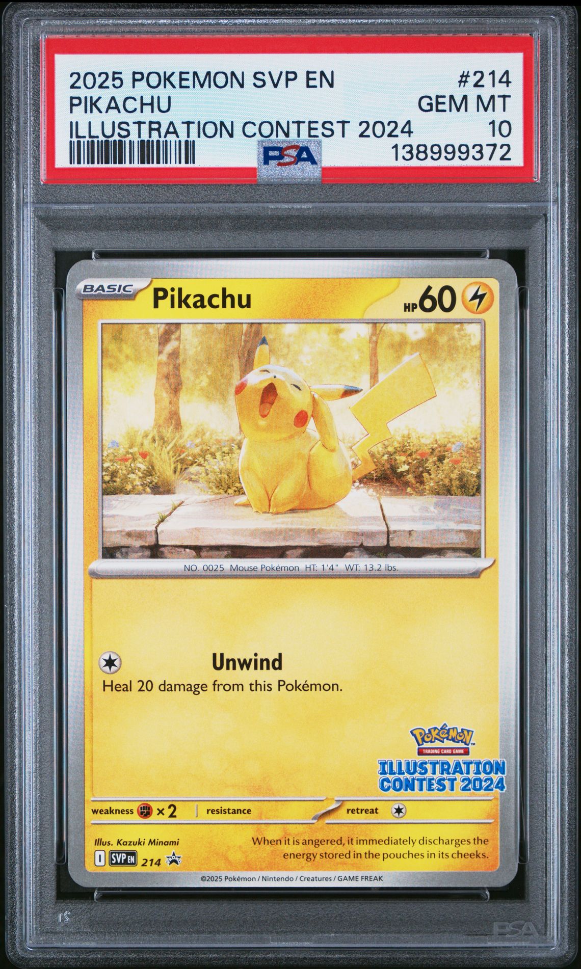 2025 Pokemon POKEMON SVP EN-SV BLACK STAR PROMO ILLUSTRATION CONTEST 2024 #214 Pikachu front