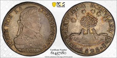 1828-PTS JM 8 Sol AU50