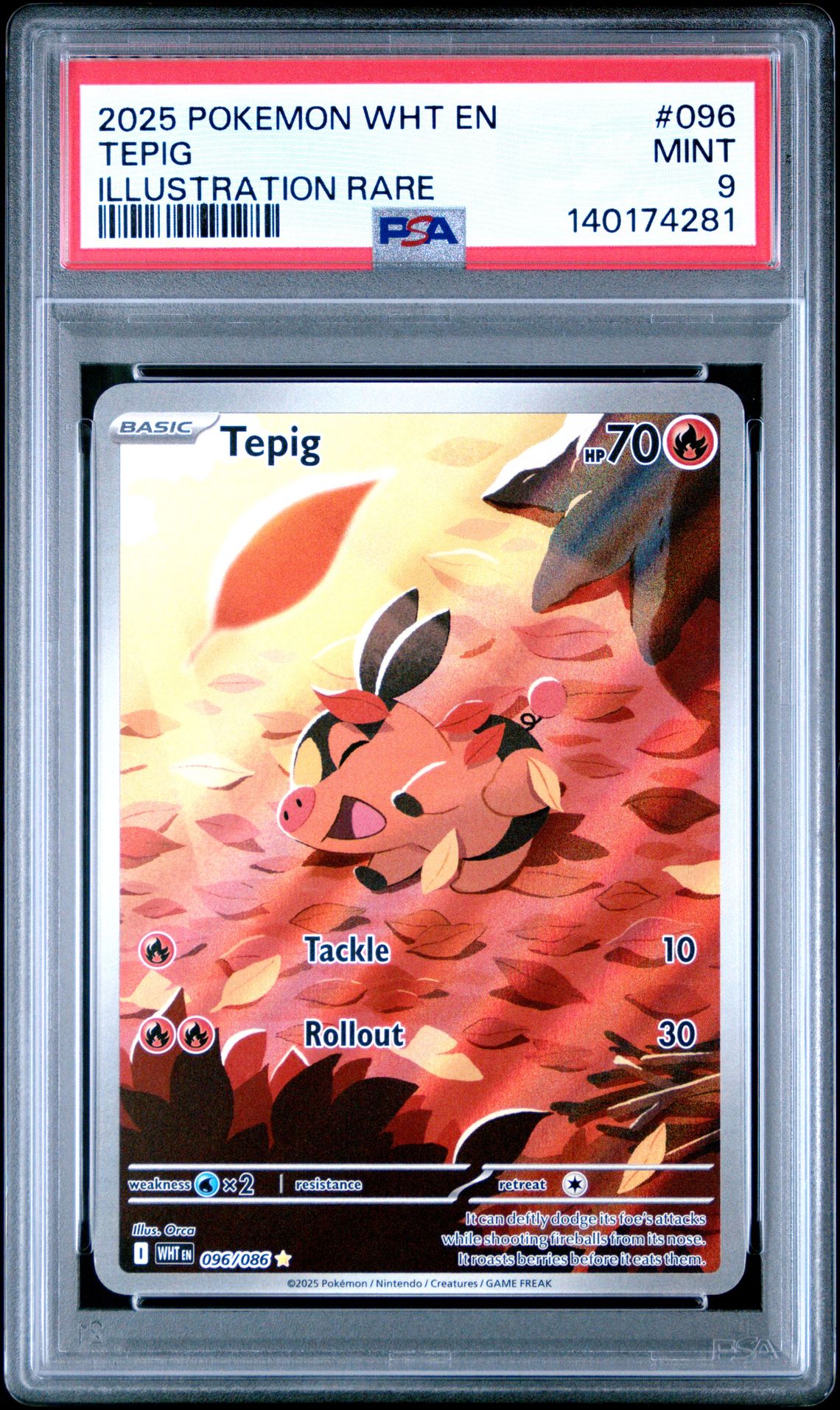 2025 Pokemon POKEMON WHT EN-WHITE FLARE ILLUSTRATION RARE #096 Tepig front