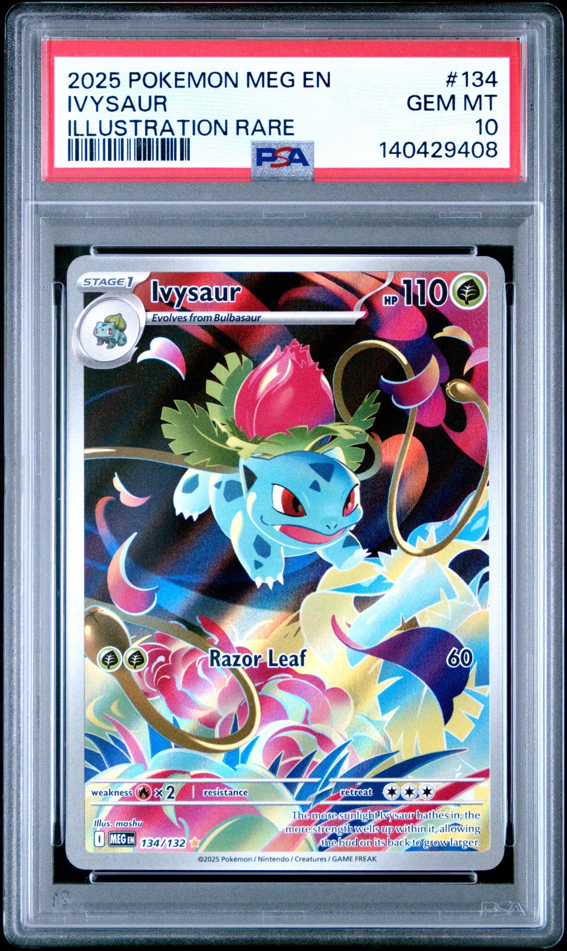 2025 Pokemon Meg En-Mega Evolution Ivysaur #134 (Illustration Rare) Gem Mt 10 front
