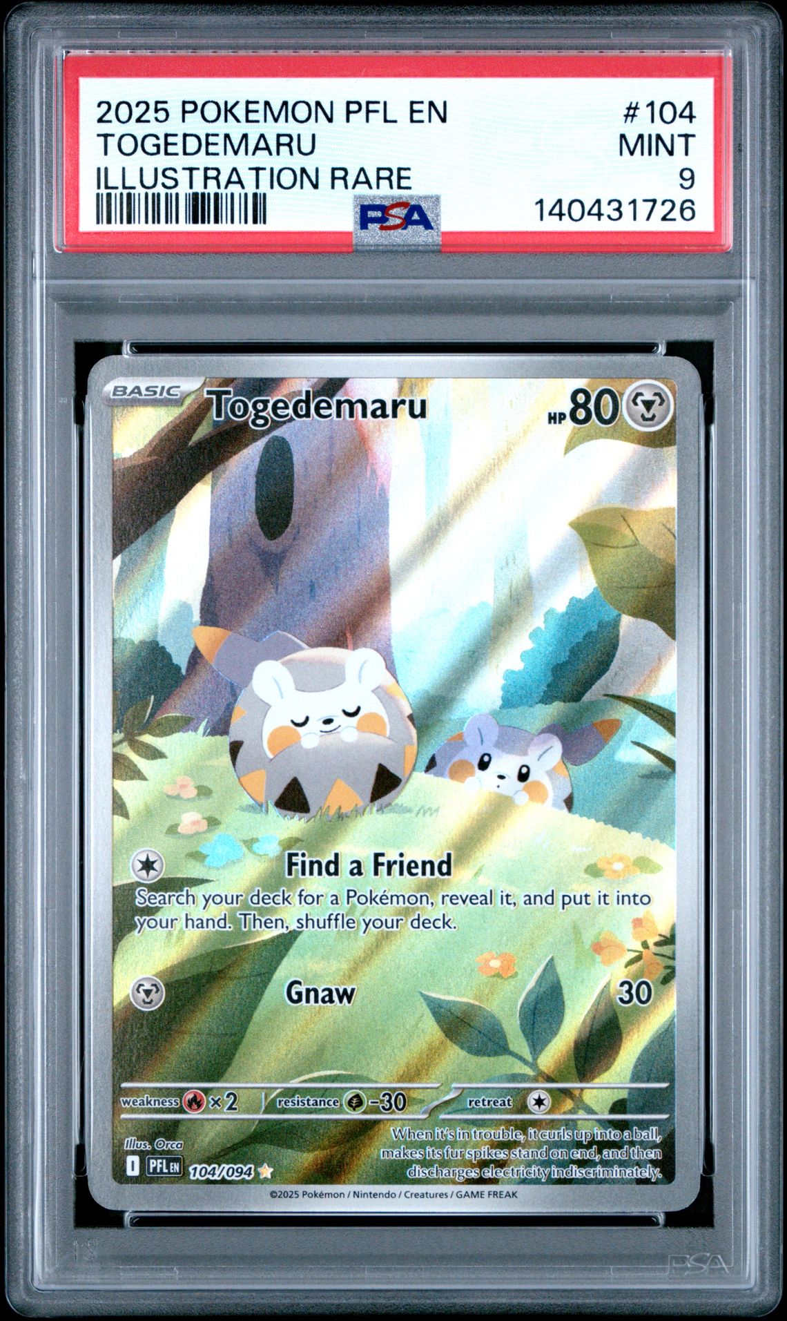 2025 Pokemon Pfl En-Phantasmal Flames Togedemaru #104 (Illustration Rare) Mint 9 front