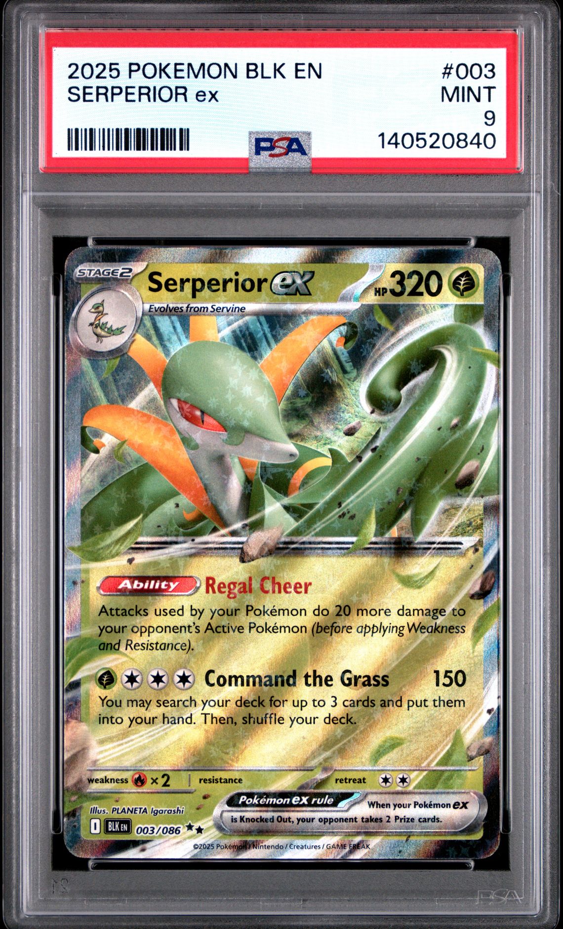 2025 Pokemon Blk En-Black Bolt Serperior Ex #003 Mint 9 front