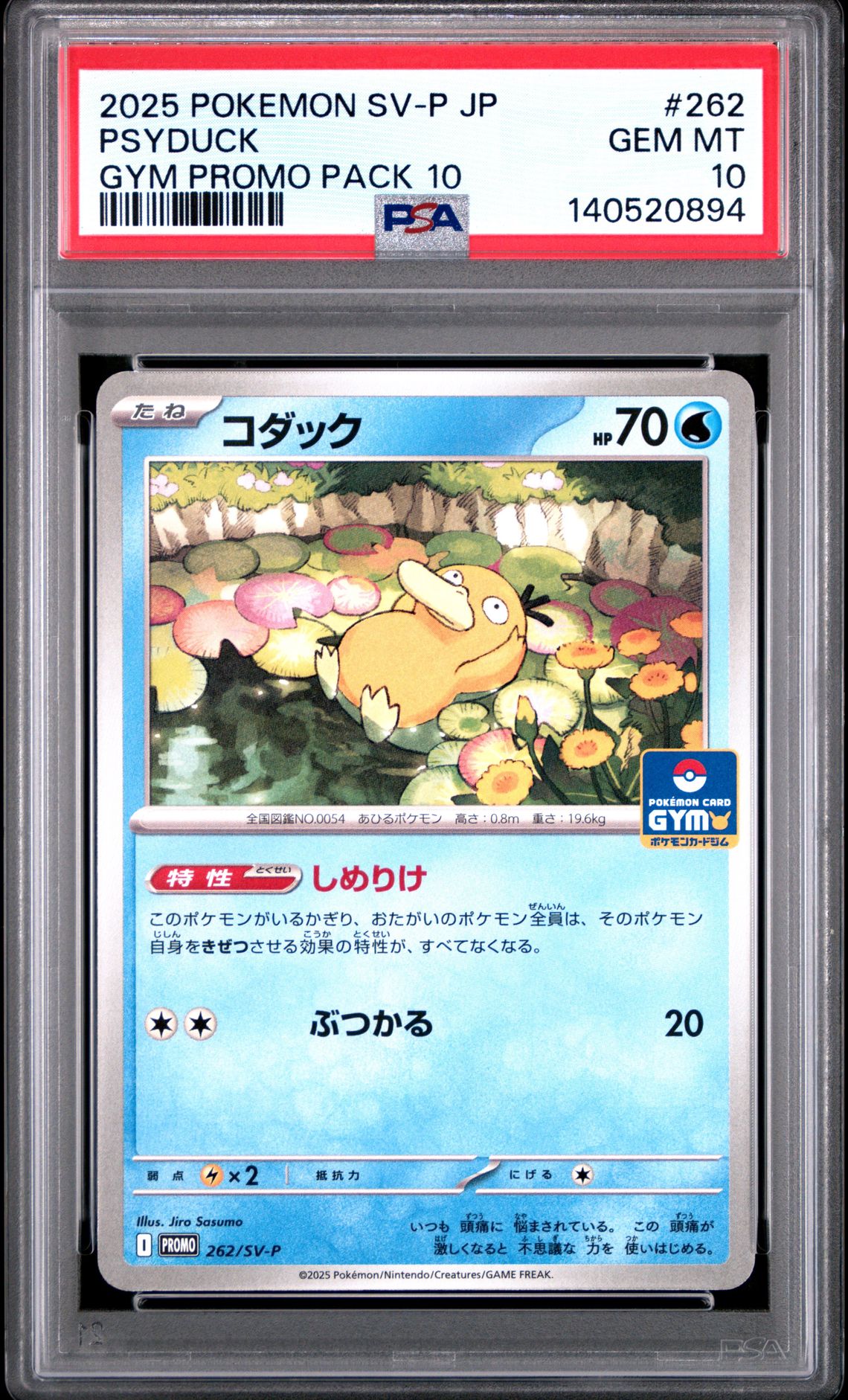 2025 Pokemon Japanese Sv-P Promo Psyduck #262 (Gym Promo Pack 10) Gem Mt 10 front