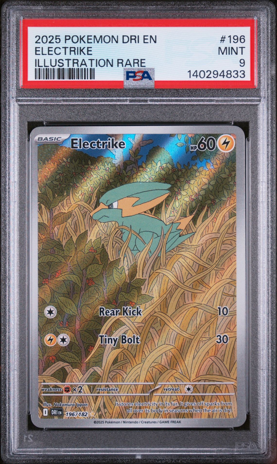 2025 Pokemon POKEMON DRI EN-DESTINED RIVALS ILLUSTRATION RARE #196 Electrike front