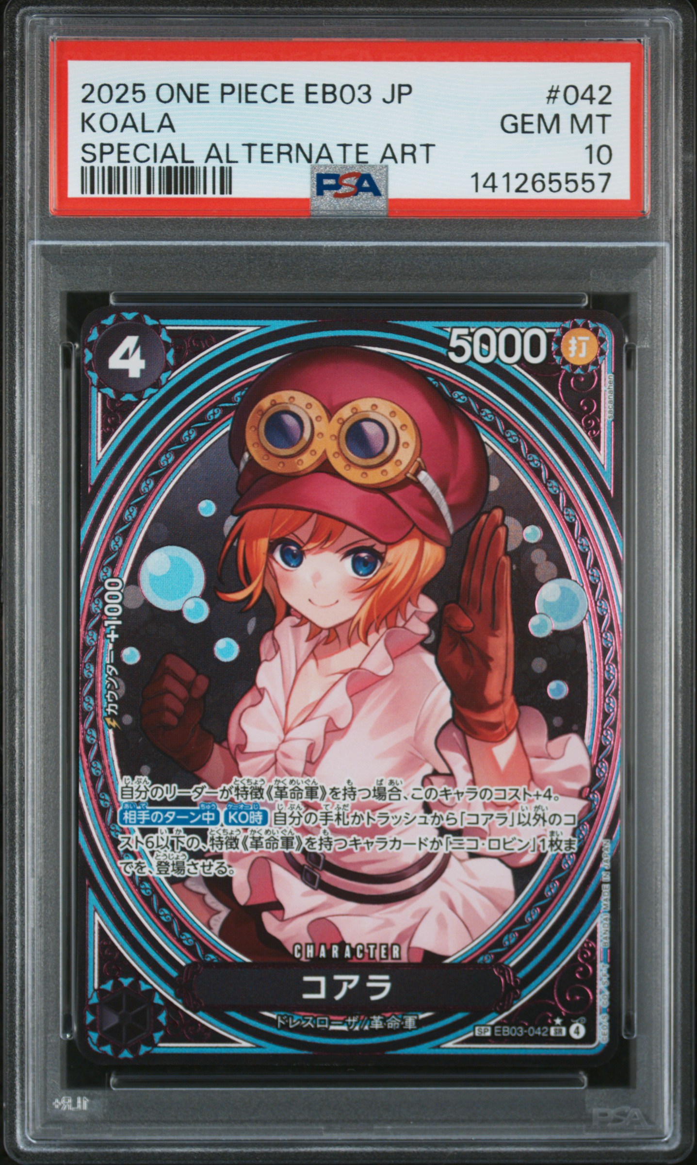 #042 KOALA (SPECIAL ALTERNATE ART) — PSA cert 141265557