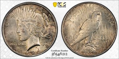 1924 $1 VAM 8A, Extra Hair N1