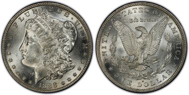 1888-S $1 VAM 13, Gouged Eagle MS62