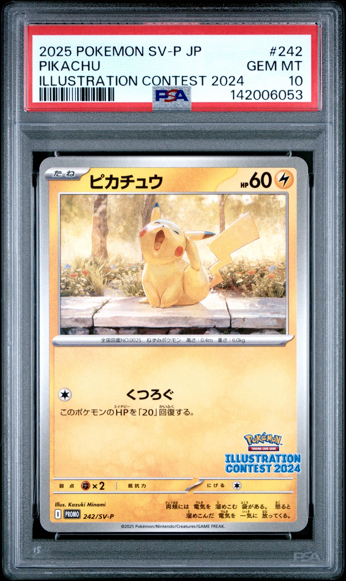 2025 Pokemon Japanese Sv-P Promo Pikachu #242 (Illustration Contest 2024) Gem Mt 10 front