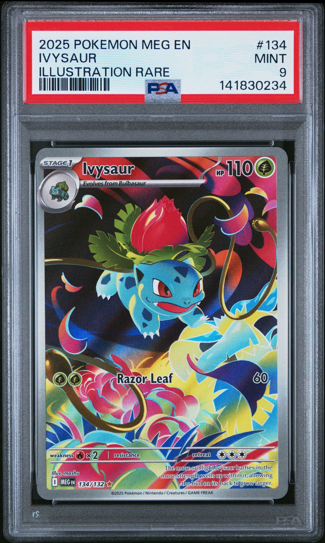 2025 Pokemon Meg En-Mega Evolution Ivysaur #134 (Illustration Rare) Mint 9 front