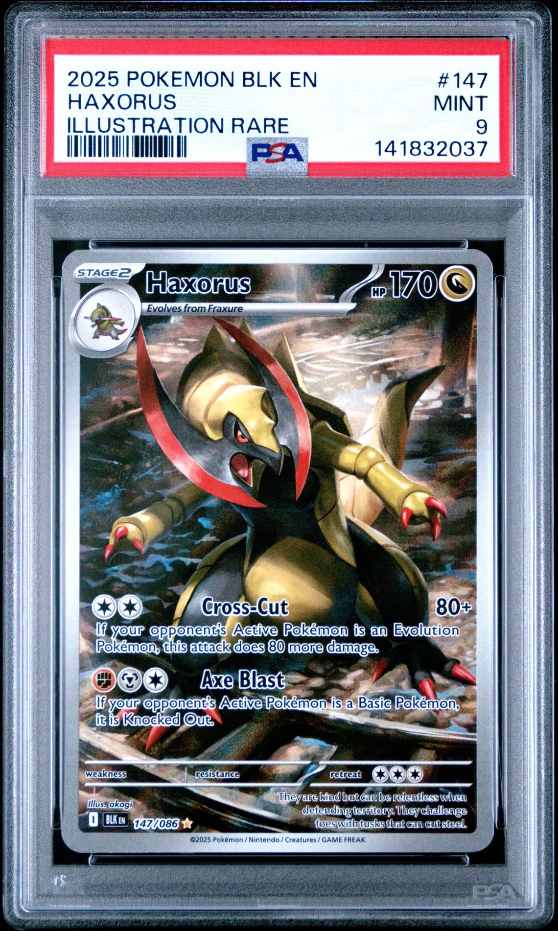 2025 Pokemon Blk En-Black Bolt Haxorus #147 (Illustration Rare) Mint 9 front