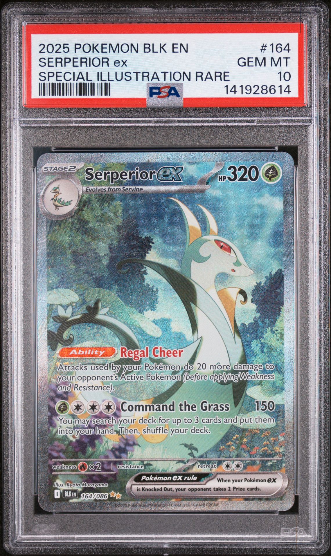 2025 Pokemon Blk En-Black Bolt Serperior Ex #164 (Special Illustration Rare) Gem Mt 10 front view - PSA graded GEM MT 10