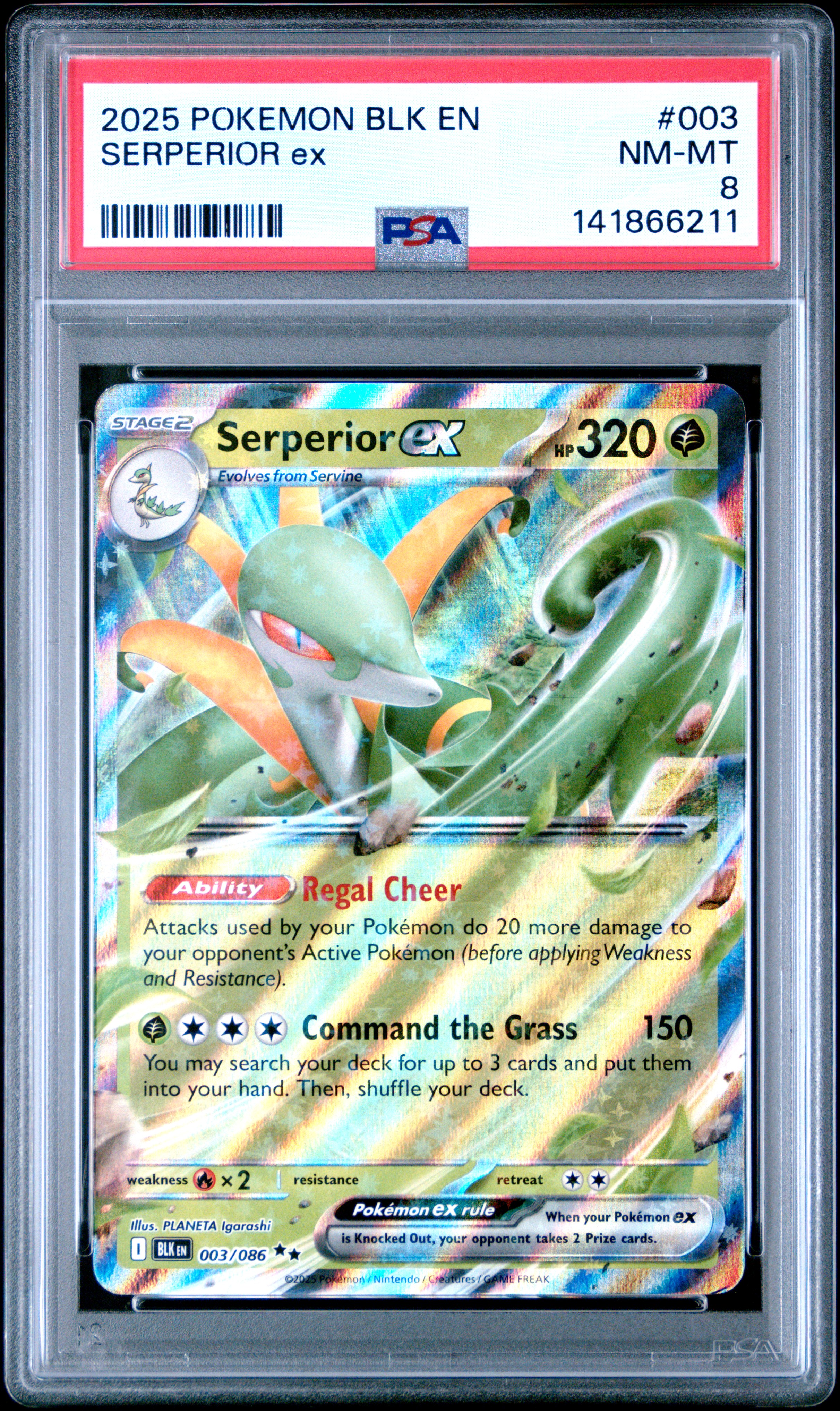 2025 #003 Serperior Ex PSA 8 Black Bolt Pokemon