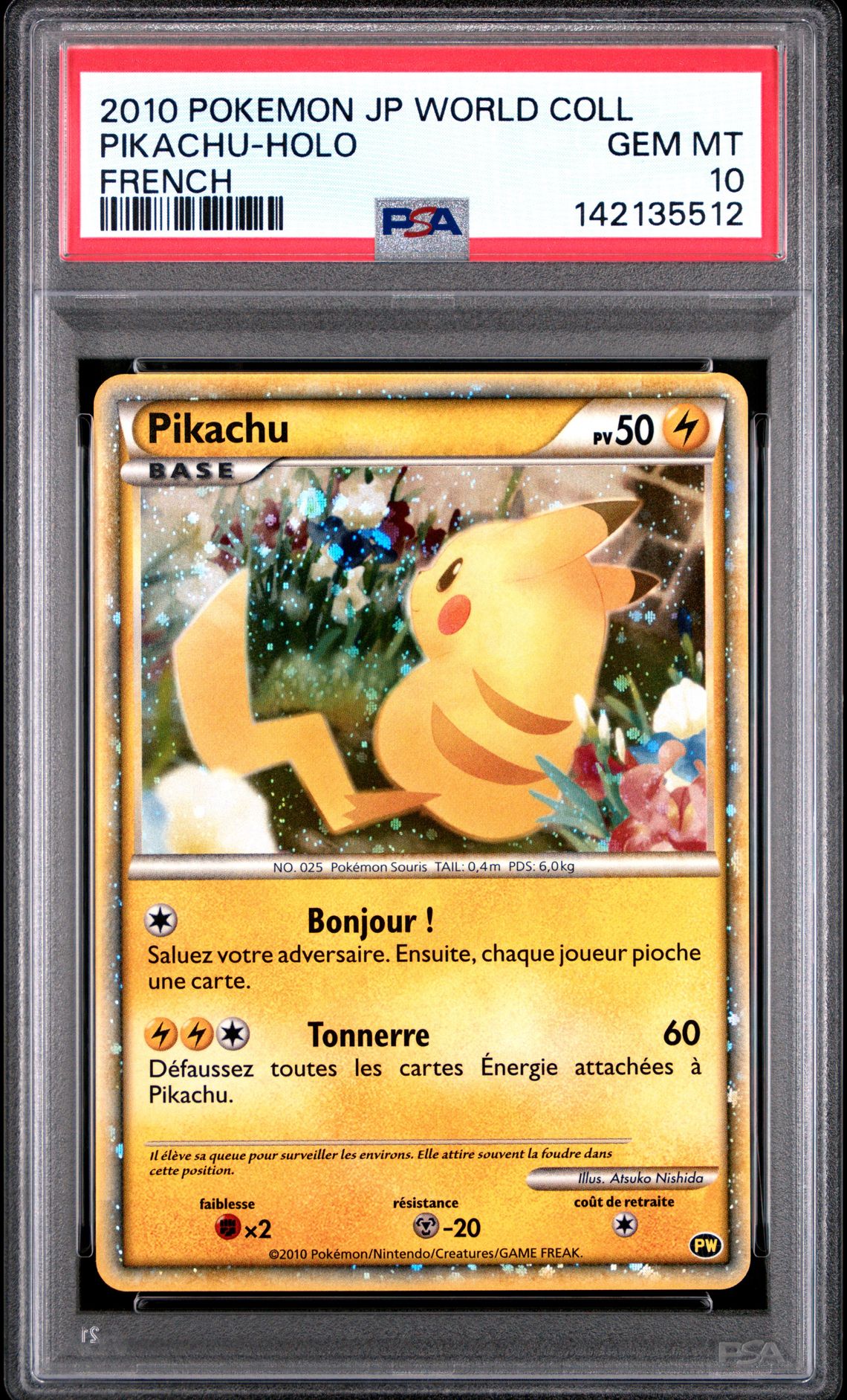 2010 Pokemon POKEMON JAPANESE WORLD COLLECTION POLISH Pikachu-Holo front