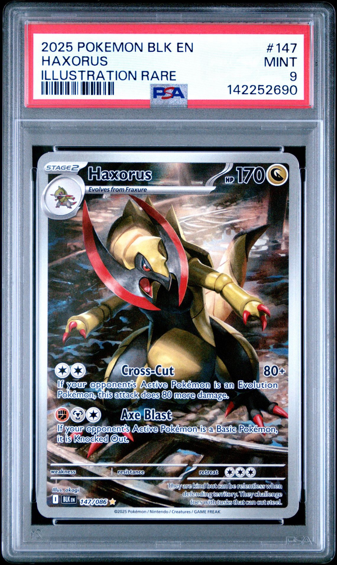 2025 Pokemon Blk En-Black Bolt Haxorus #147 (Illustration Rare) Mint 9 front
