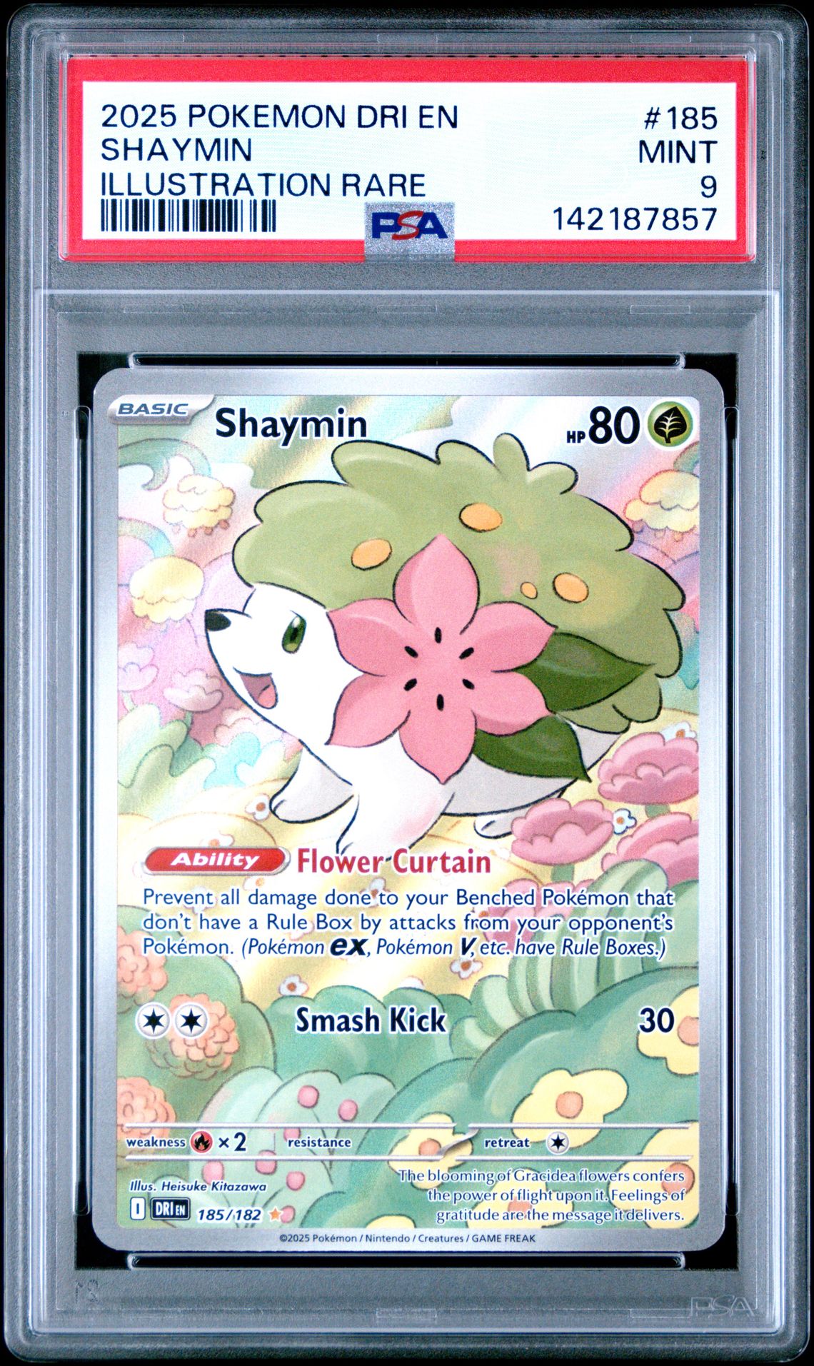 2025 Pokemon Dri En-Destined Rivals Shaymin #185 (Illustration Rare) Mint 9 front