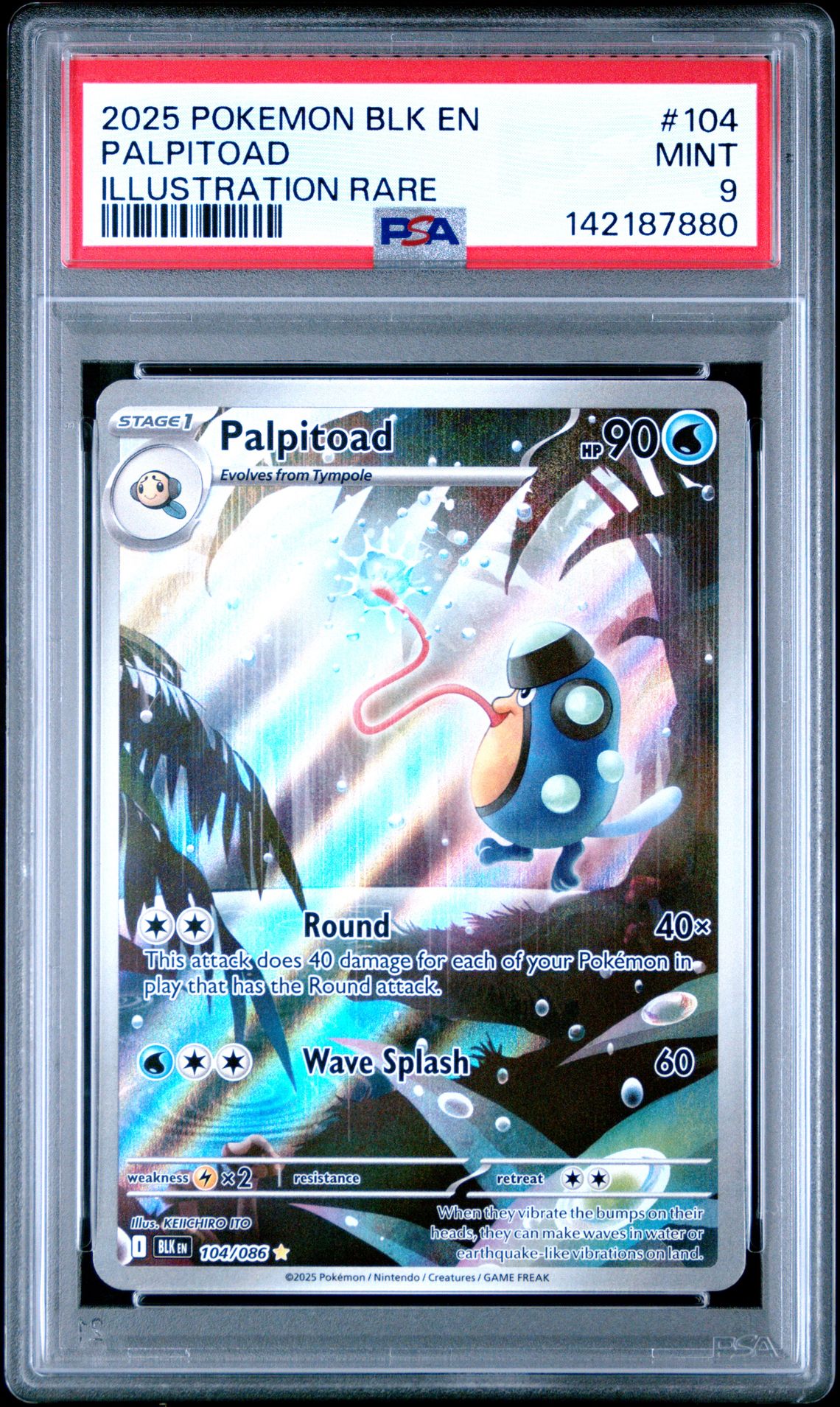 2025 Pokemon Blk En-Black Bolt Palpitoad #104 (Illustration Rare) Mint 9 front