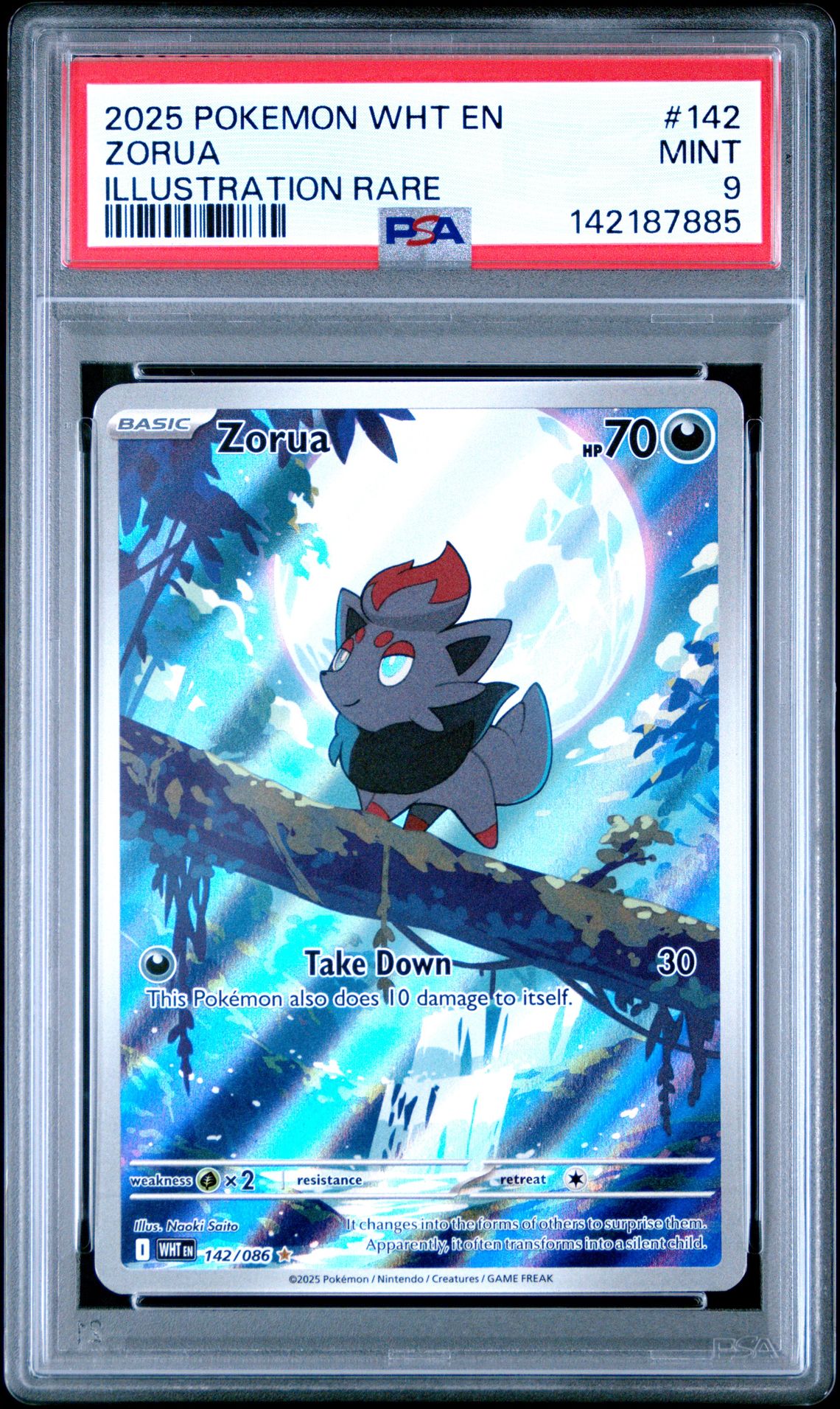 2025 Pokemon Wht En-White Flare Zorua #142 (Illustration Rare) Mint 9 front