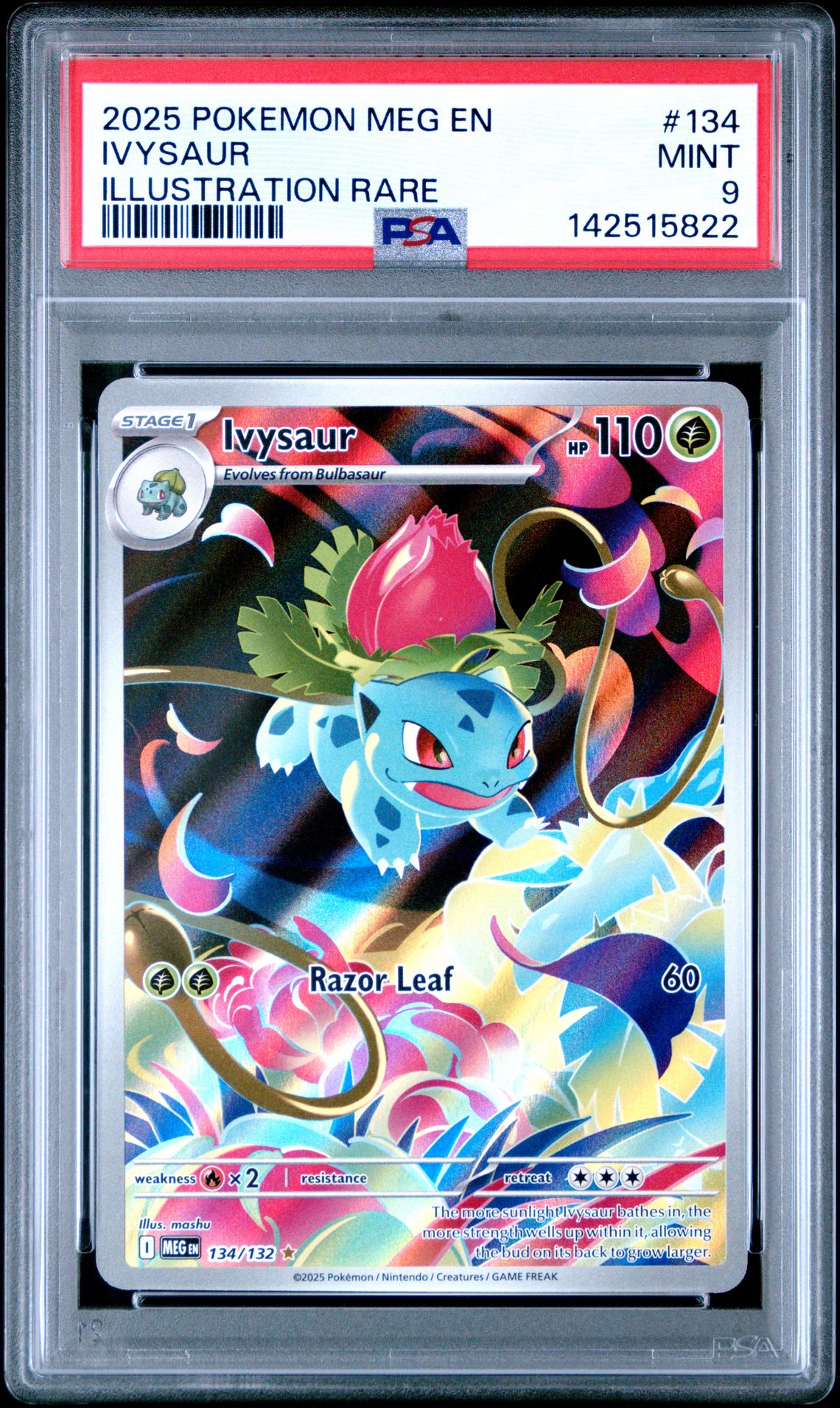 2025 Pokemon Meg En-Mega Evolution Ivysaur #134 (Illustration Rare) Mint 9 front