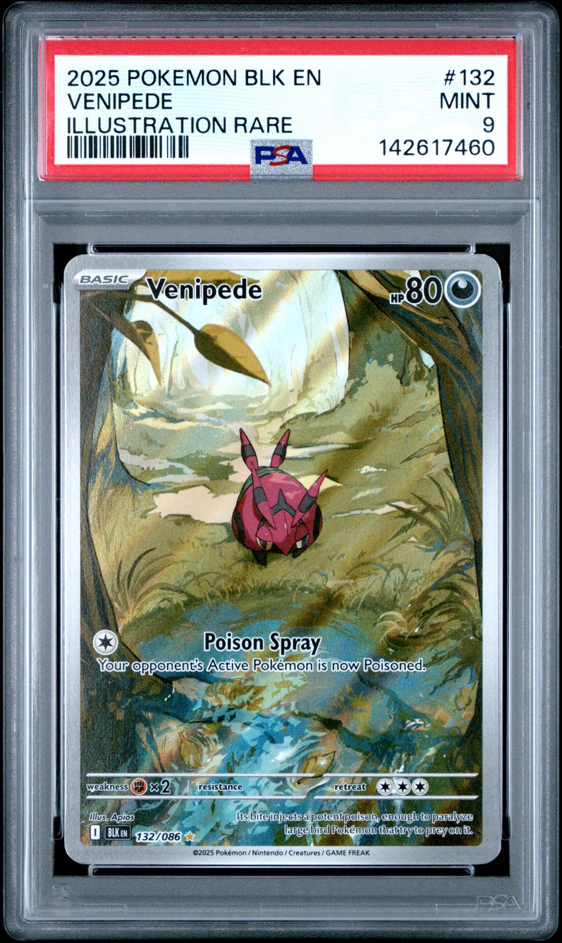 2025 Pokemon POKEMON BLK EN-BLACK BOLT ILLUSTRATION RARE #132 Venipede front