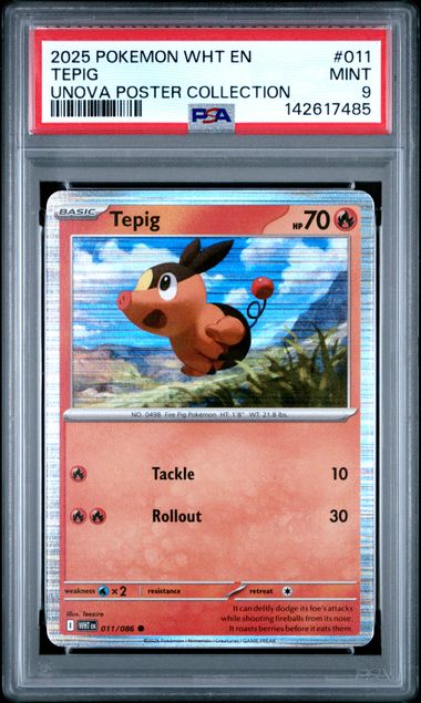 2025 Pokemon White Flare Unovaposter Collection UNOVA POSTER COLLECTION #011 Tepig front