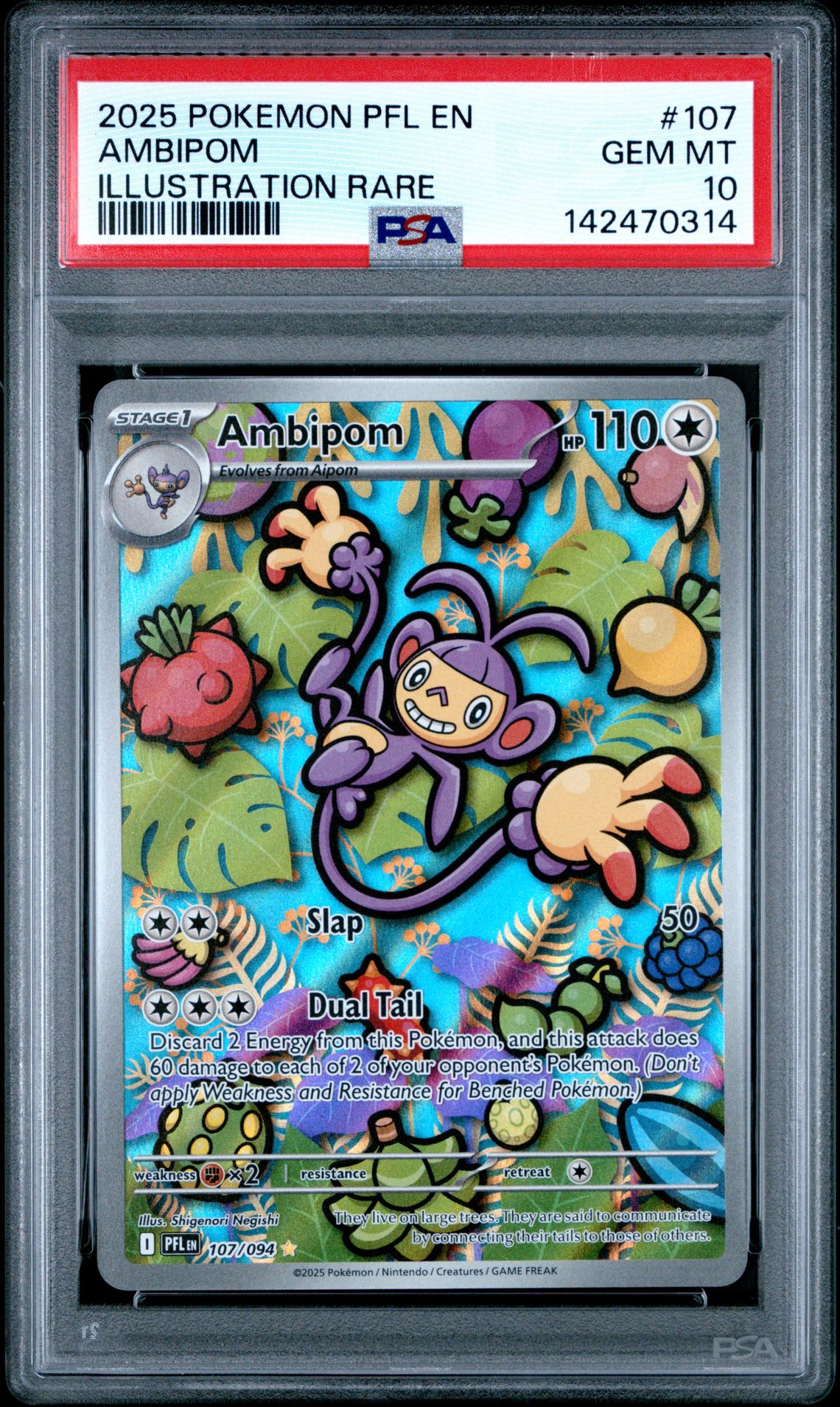 2025 Pokemon Pfl En-Phantasmal Flames Ambipom #107 (Illustration Rare) Gem Mt 10 front view - PSA graded GEM MT 10