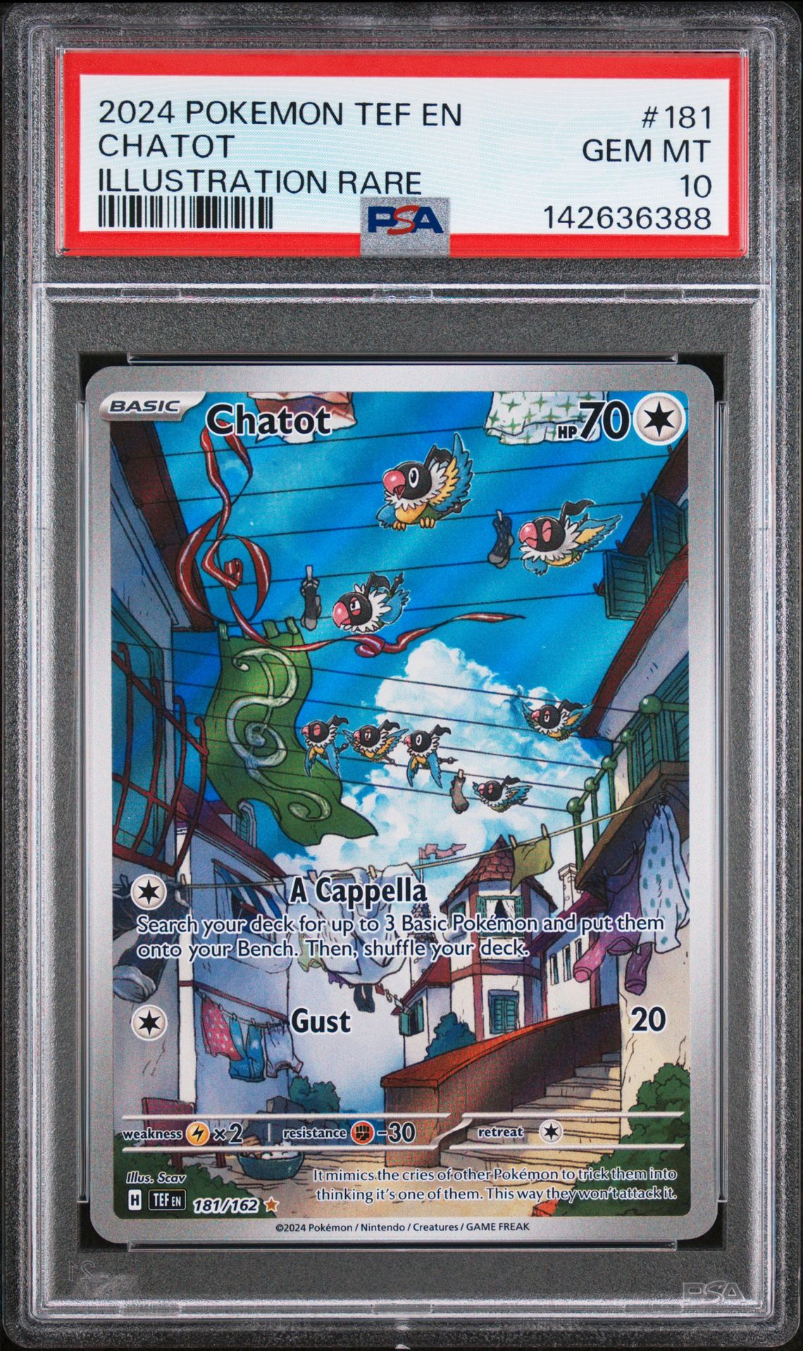 2024 Pokemon #181 Chatot front