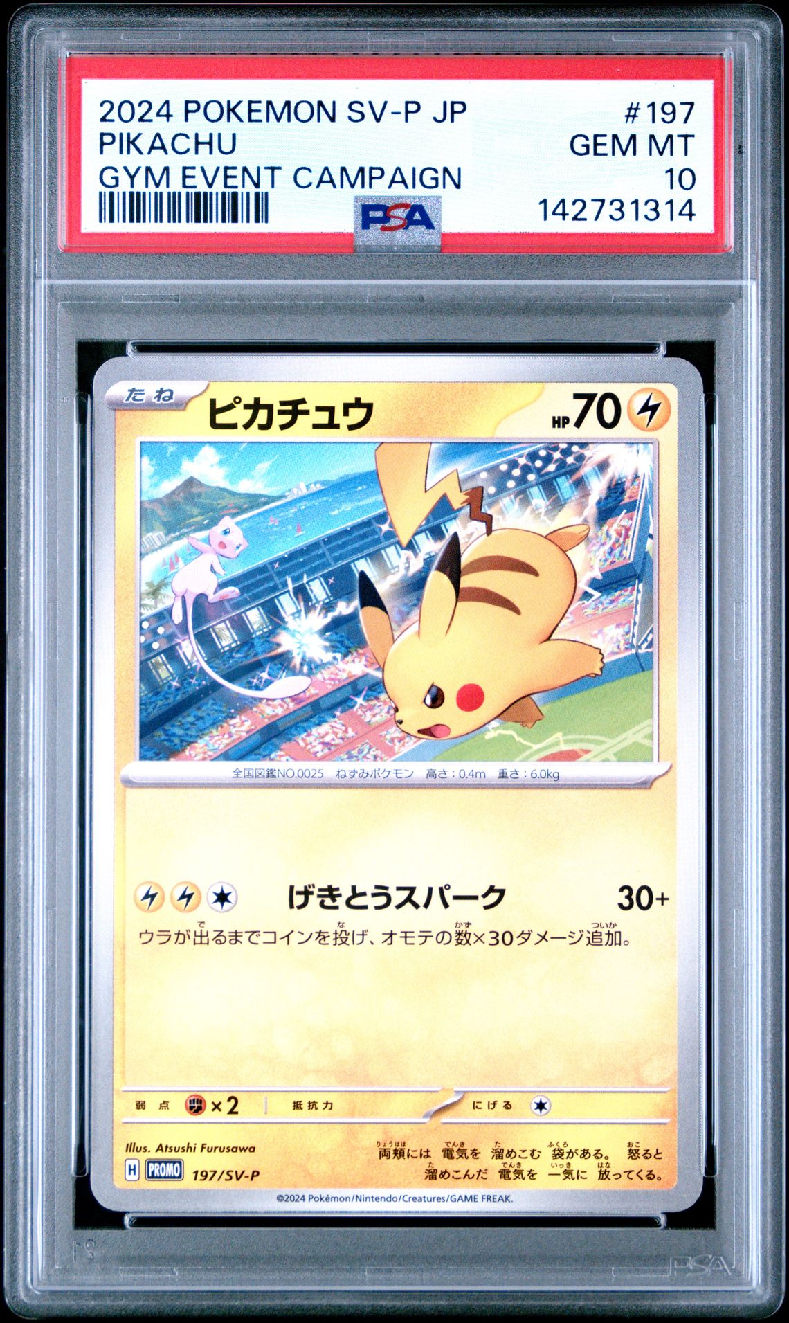 2024 Pokemon POKEMON JAPANESE SV-P PROMO GYM EVENT CAMPAIGN #197 Pikachu front