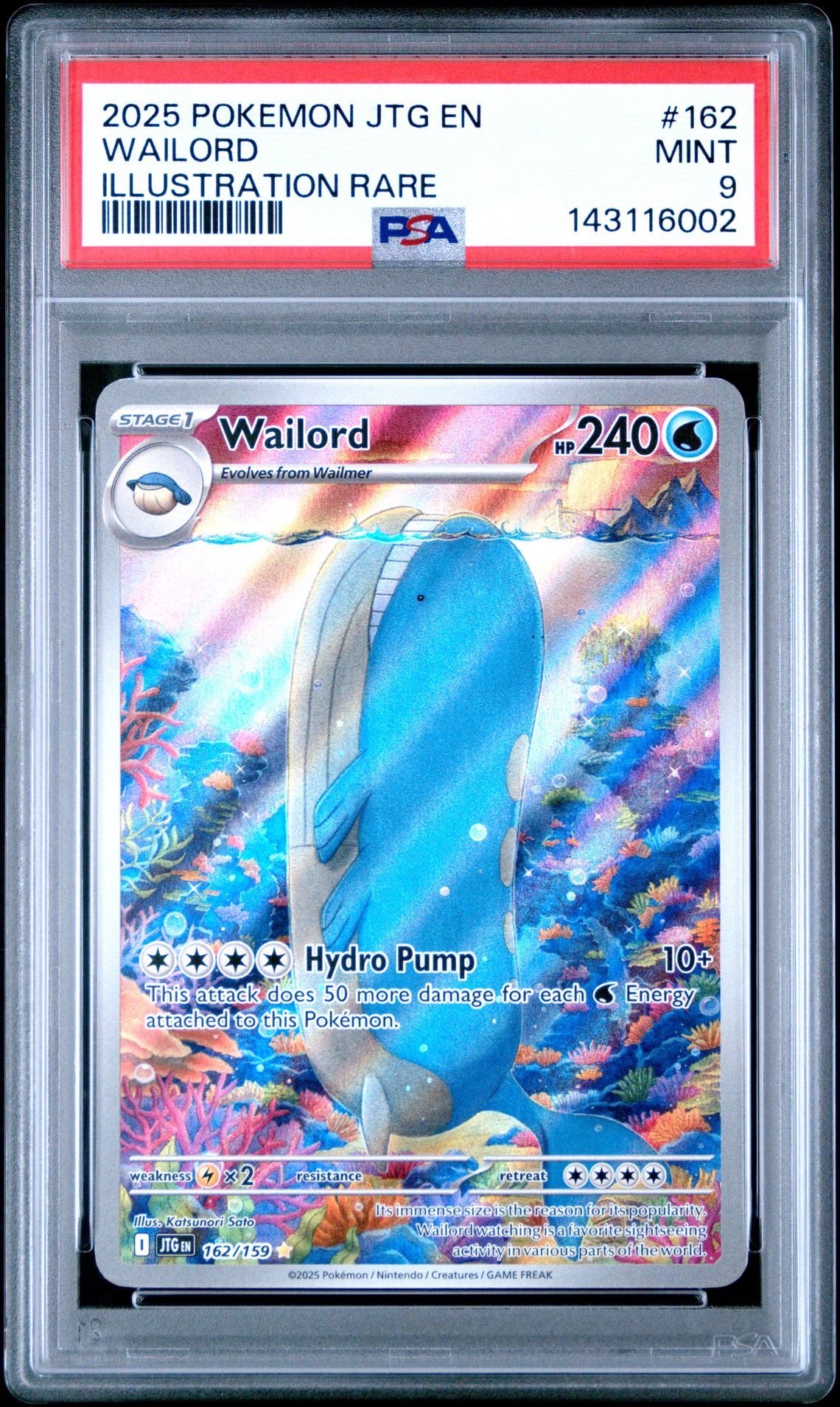 2025 Pokemon Jtg En-Journey Together Wailord #162 (Illustration Rare) Mint 9 front
