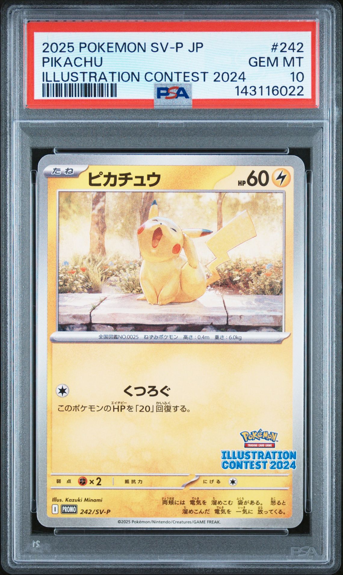 2025 Pokemon Japanese Sv-P Promo Pikachu #242 (Illustration Contest 2024) Gem Mt 10 front