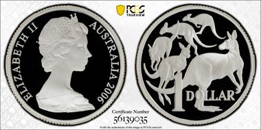 2006 $1 Young Bust Silver PR70DCAM